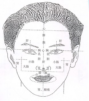 康婷---颜面望诊与阴阳五行